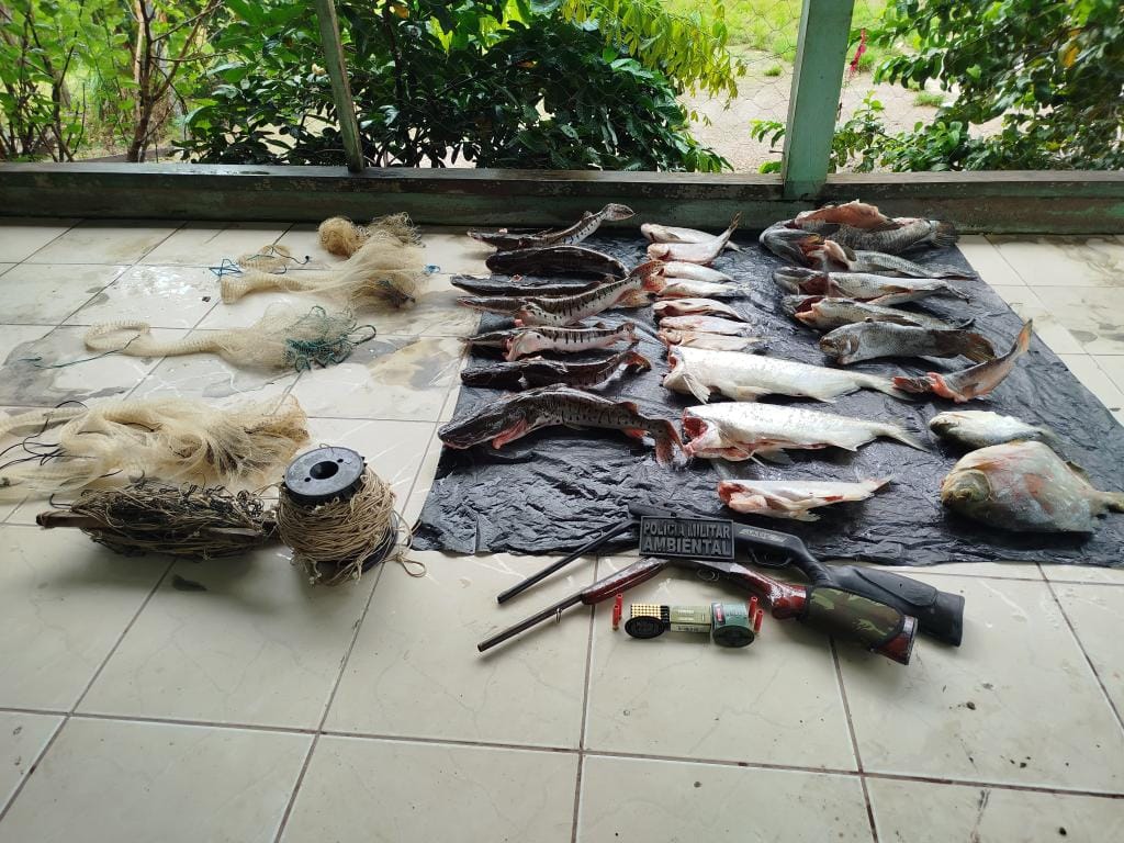 Proprietário de restaurante é preso com 50 quilos de pescado irregular em Mato Grosso