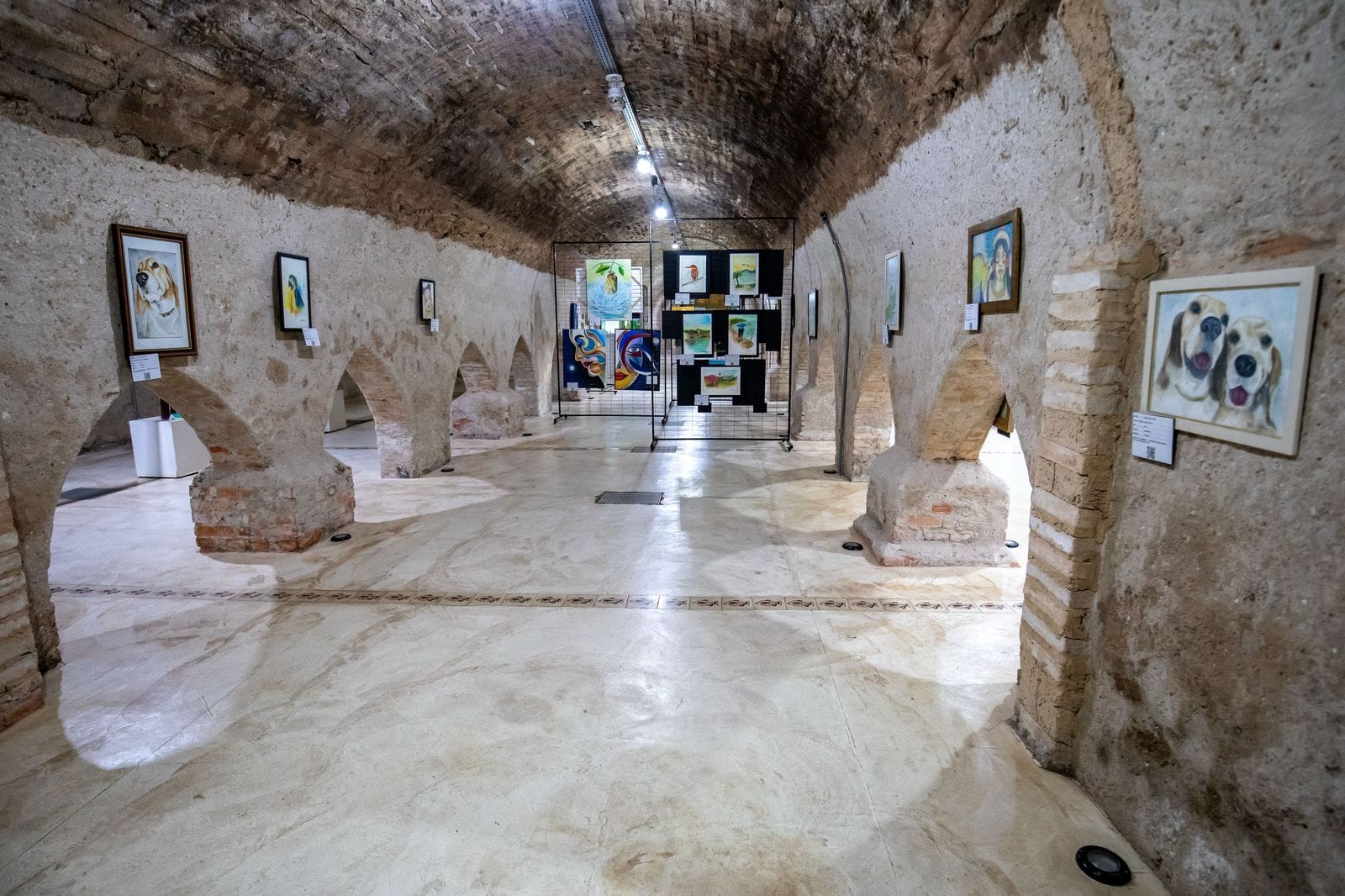 Aquário e Museu da Caixa D’Água Velha abrem nesta segunda-feira