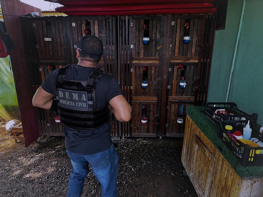 Polícia resgata galos utilizados em rinhas e prende proprietário das aves por maus-tratos