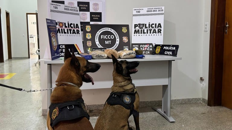 Traficantes que montaram rede de distribuição de drogas a partir de imóveis são alvos de operação