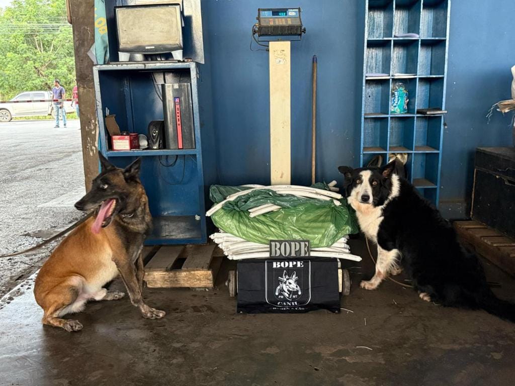 Bope apreende quase 50 quilos de explosivos em carga de transportadora em Cuiabá