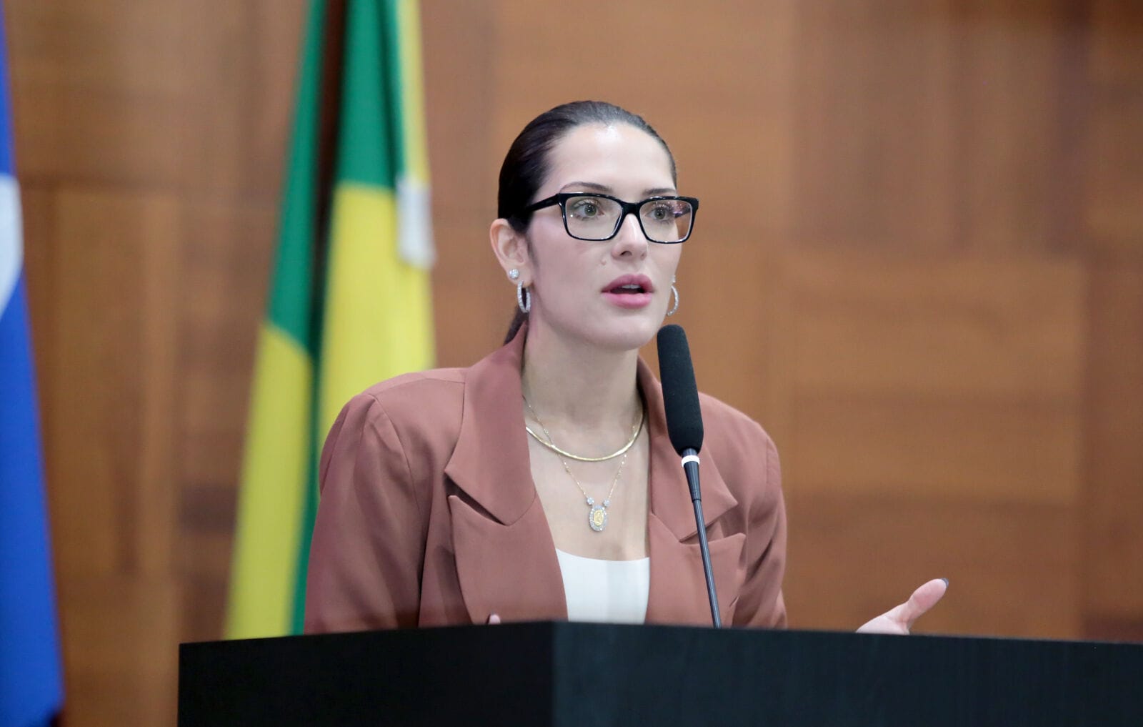 Deputada apresenta PEC para garantir pagamento de emendas  à saúde