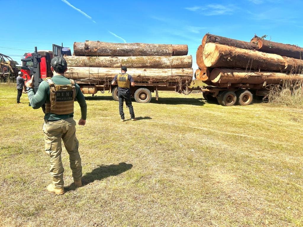 Bando incendeia ponte e jogam caminhão contra policiais para impedir apreensão de madeira ilegal