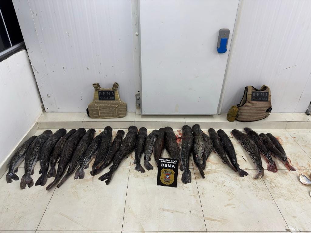 Polícia apreende mais de 100 kg de pescado ilegal escondido em plantação de mandioca