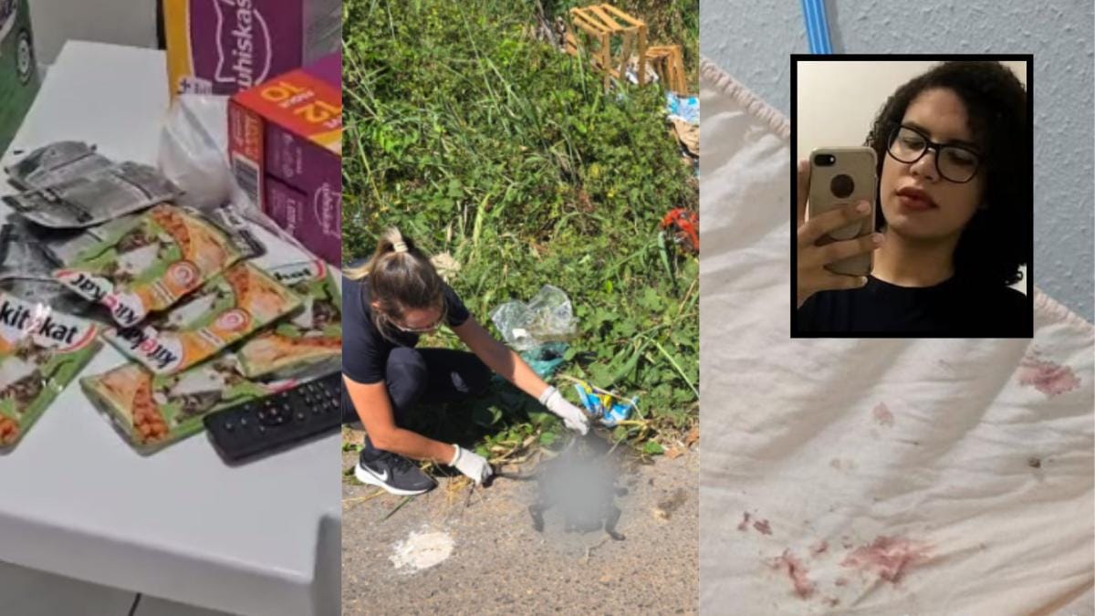 Casal é indiciado pela Polícia Civil por maus-tratos e morte de gatos no bairro Porto em Cuiabá