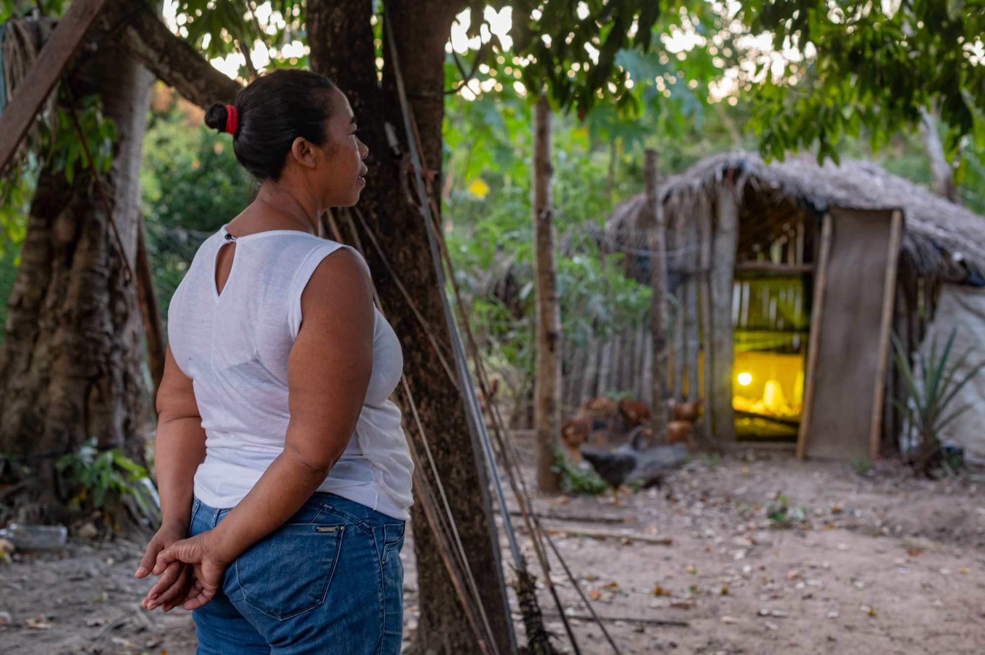 MT abre edital de seleção para agricultores familiares acessarem recursos