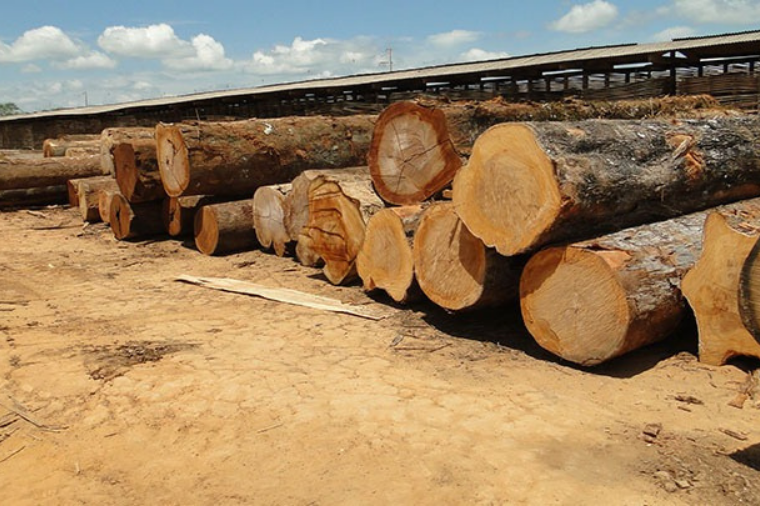 Madeireiras de Mato Grosso serão alvo de fiscalização trabalhista