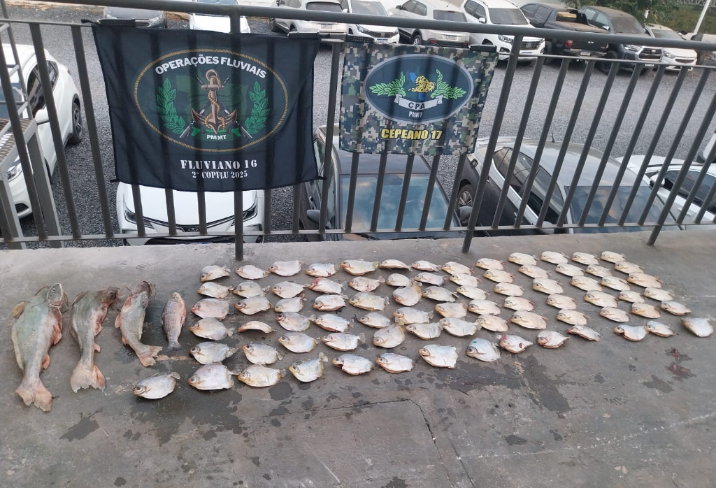 Mais de 20 quilos de pescado irregular são apreendidos pelo Batalhão Ambiental