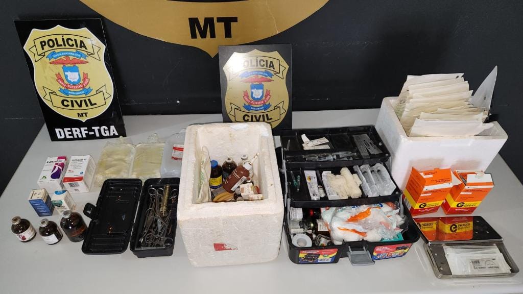 'Veterinário fake' é preso pela PC por castração clandestina de gatos em Mato Grosso