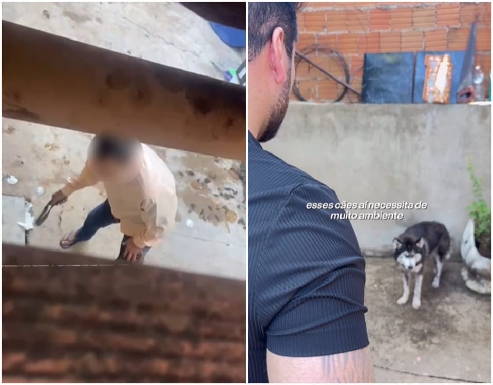 “Ele apanhava e  passava fome”, diz vereador ao resgatar Husky vítima de maus-tratos