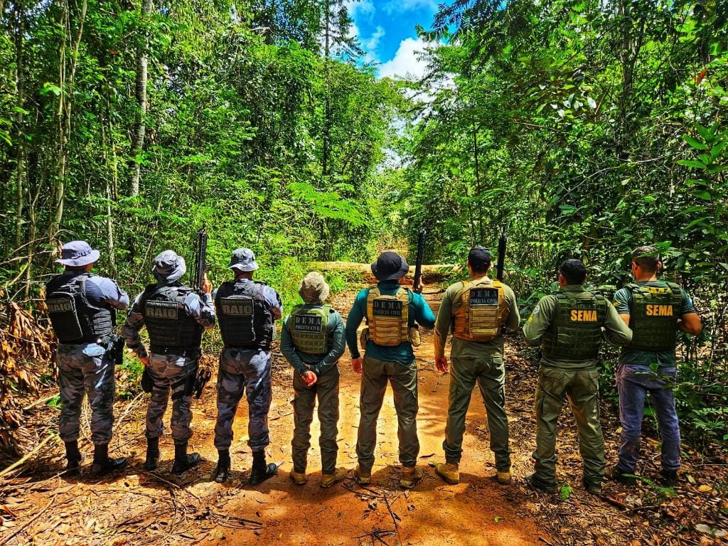 PC apreende R$ 134 milhões em carga de madeira ilegal no Pantanal e Amazônia de MT