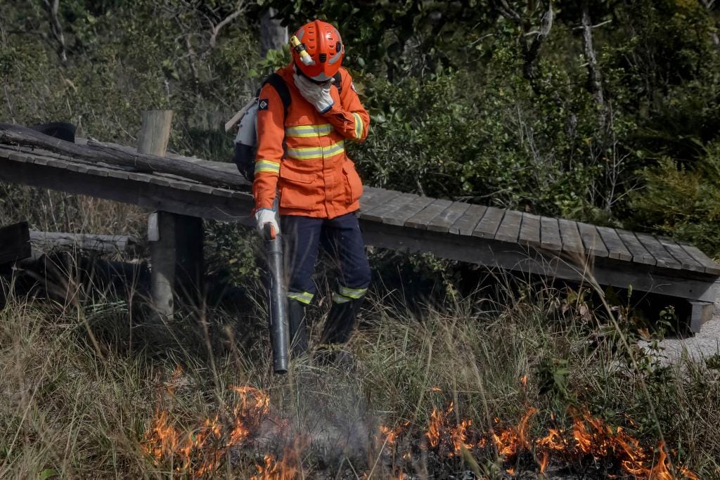 Corpo de Bombeiros extingue 3 incêndios florestais e combate 4 nesta segunda-feira