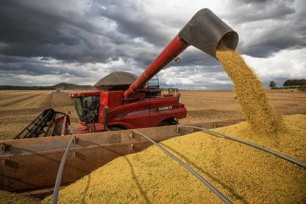 Cade determina suspensão da  moratória da soja e abre   investigação contra tradings