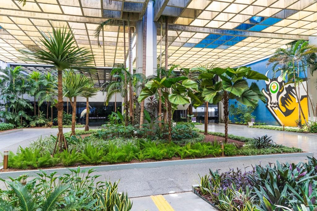 Decreto fixa limite de 35% e atendimento presencial para evitar golpes; confira as regras