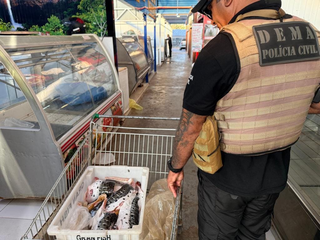 Operação combate comércio ilegal na Feira do Porto e apreende três toneladas de pescado
