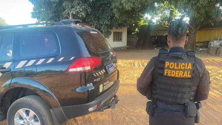 Madeireiras são alvos da PF por receptação de madeira extraída  de terra indígena em MT