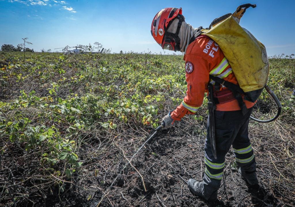Corpo de Bombeiros combate 27 incêndios florestais nesta terça-feira em Mato Grosso