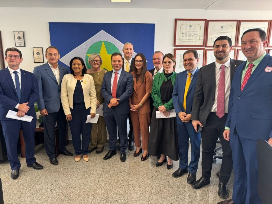 Deputados estaduais e bancada federal discutem contrato de concessão de energia elétrica