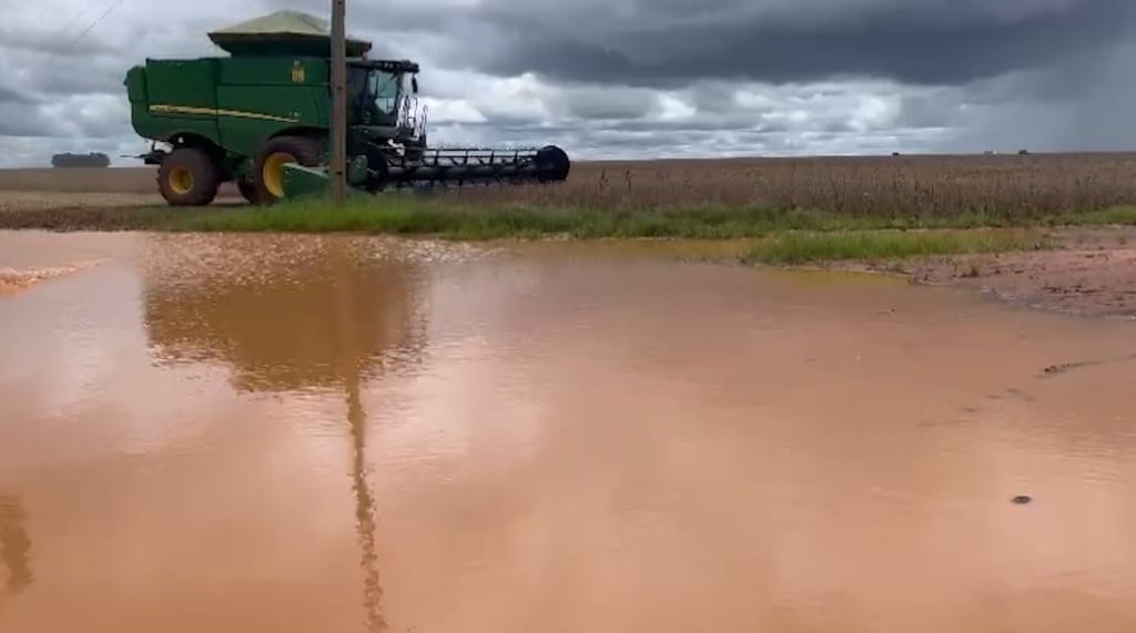 Seguradora terá que indenizar produtor por perda de safra causada por excesso de chuvas
