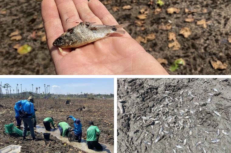 MP aponta risco estrutural e ambiental, e recomenda desativação de usina em MT