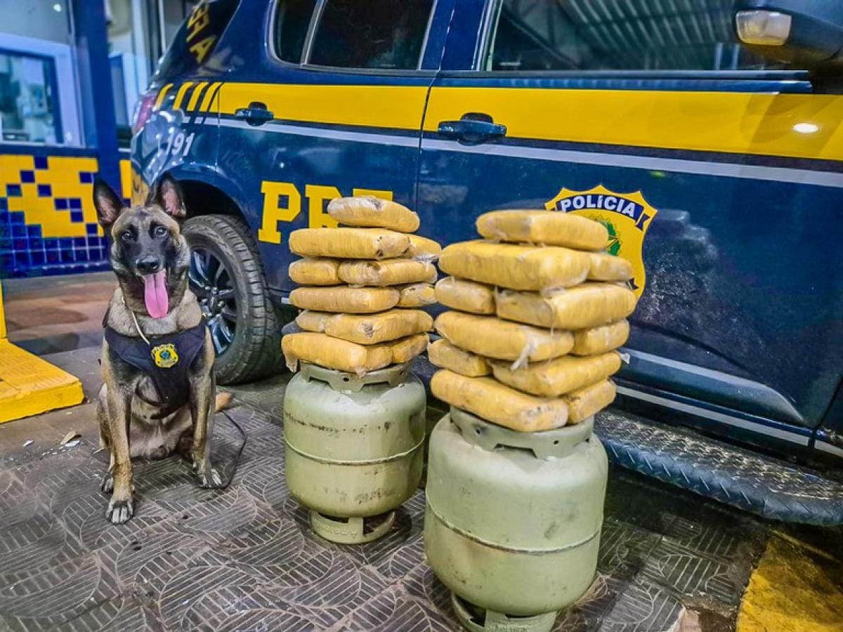 Dois são presos transportando drogas dentro de botijão de gás em ônibus coletivo