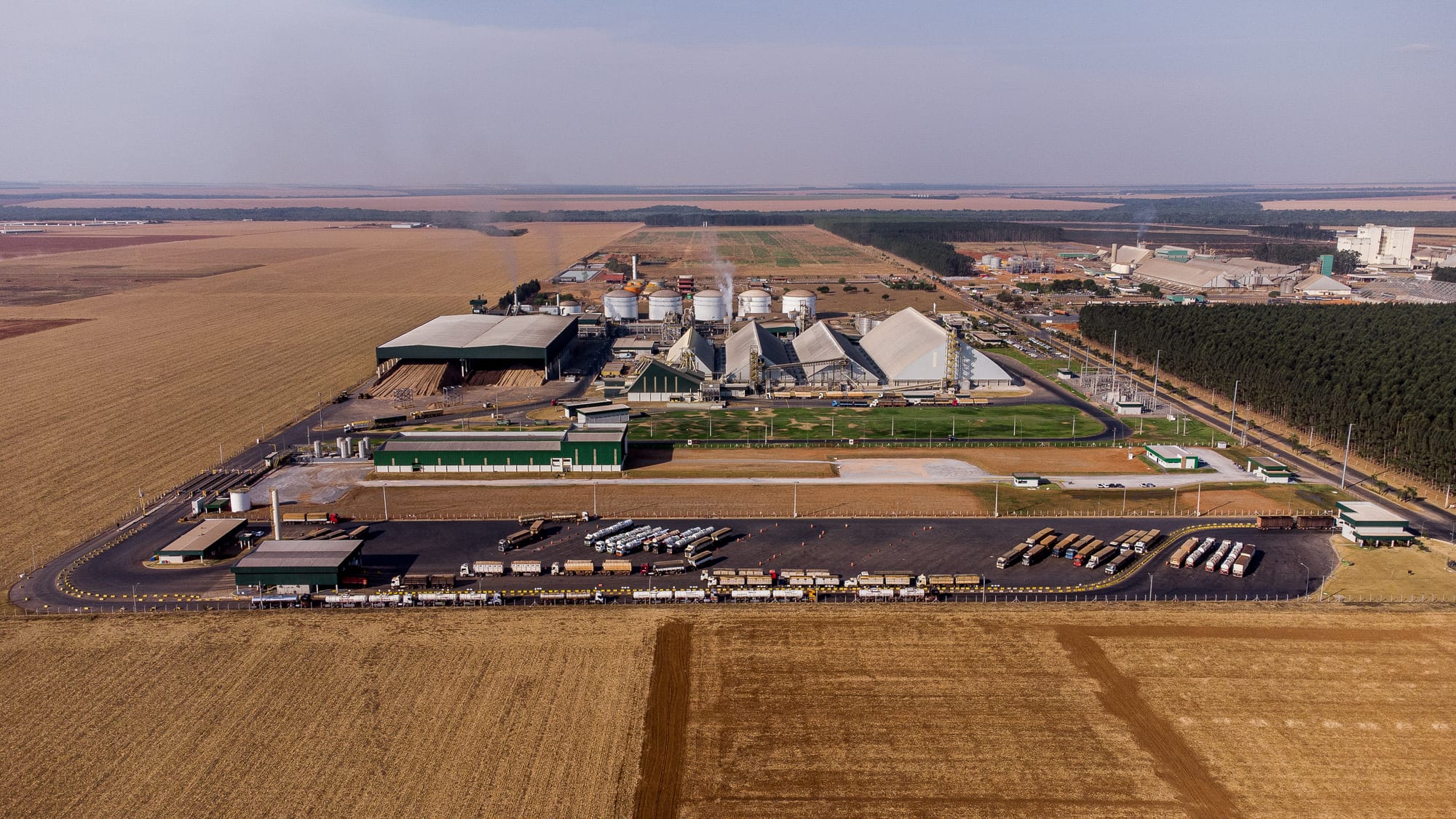 MT tem nova alta na previsão do PIB de 2025 e permanece líder em crescimento econômico do país