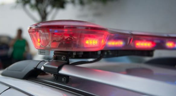 Homem atira em cachorro da vizinha após animal matar seu gato