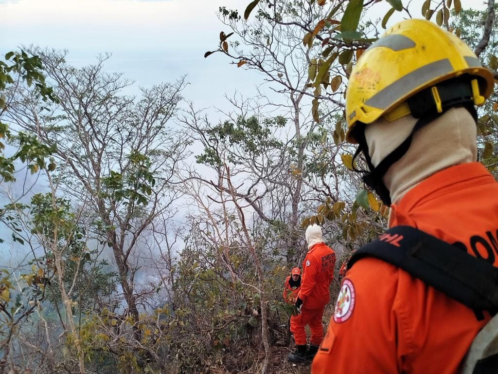 Corpo de Bombeiros aplica multa de R$ 80 milhões por incêndio criminoso em parque estadual