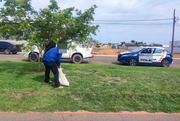 Idoso é preso por policiais da Força Tática por matar cachorro enforcado em MT