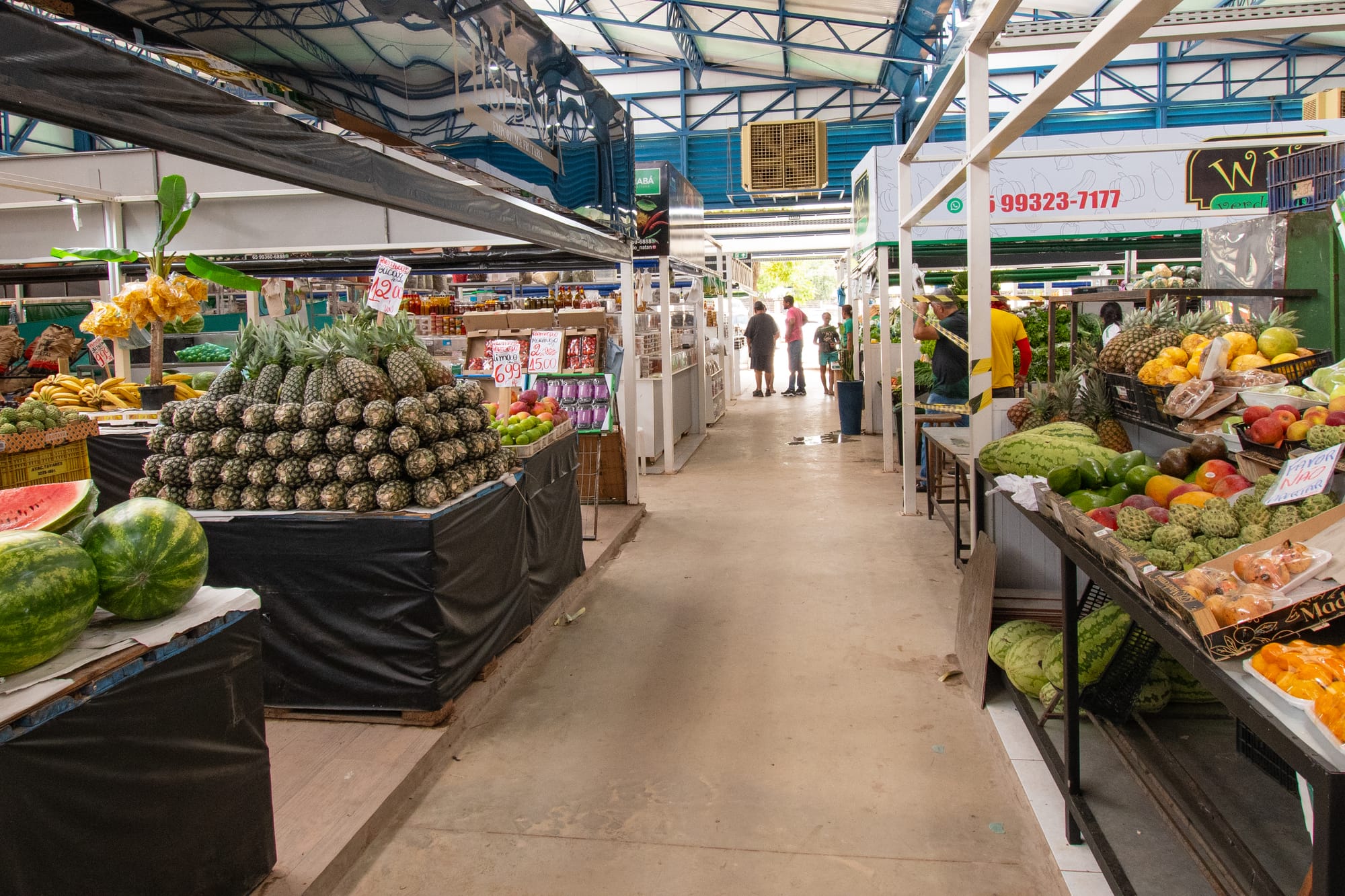 Obras de requalificação do Mercado do Porto na capital são retomadas na próxima semana