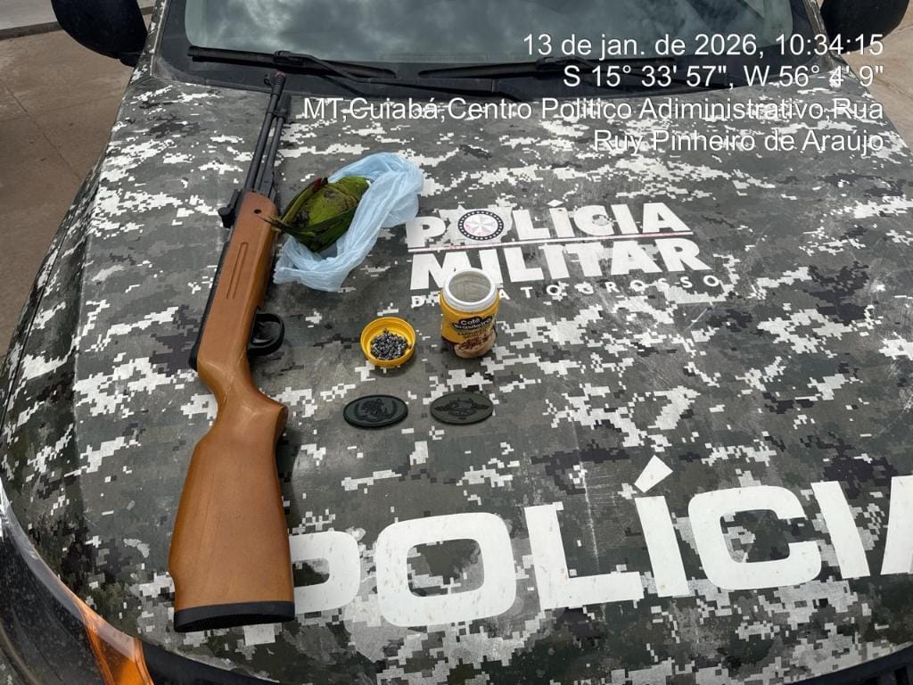 Morador é preso em flagrante por matar arara maracanã com espingarda de pressão na capital
