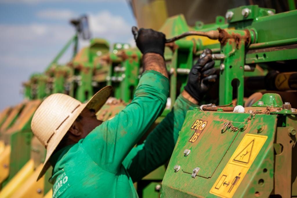 Mato Grosso gera 31 mil postos de trabalho e fecha 2025 com índice de crescimento de 25%