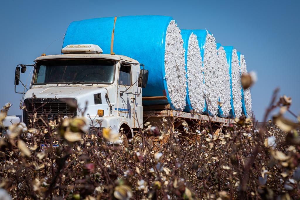 Mato Grosso lidera a balança comercial brasileira e saldo comercial atinge US$ 27 bi