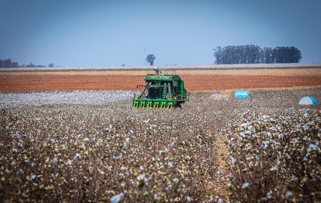MT prorroga diferimento para fertilizantes e mantém benefício até dezembro deste ano