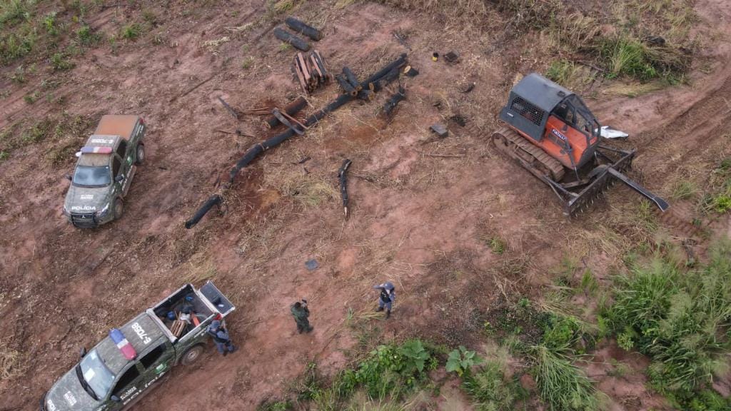 Fiscalizações ambientais da Polícia Militar aplicaram R$ 1,1 bilhão em multas no estado