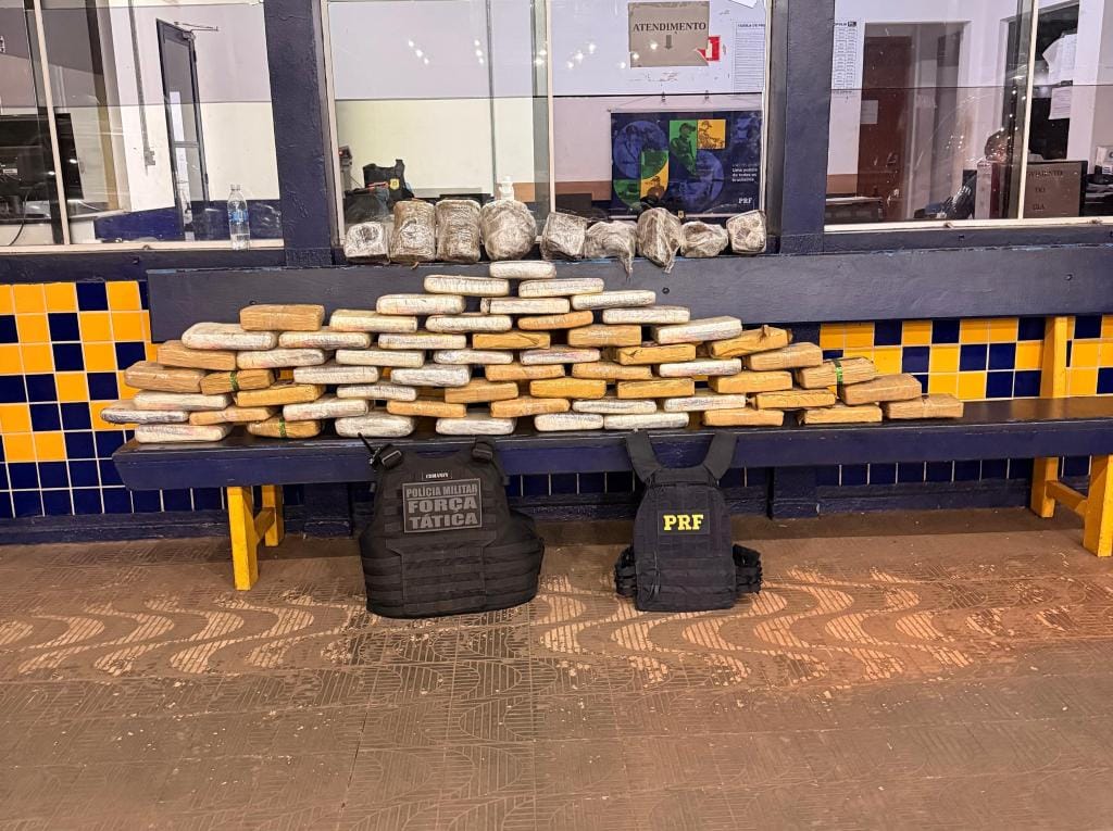 Ação policial apreende carga de 73 quilos de supermaconha avaliada em R$ 300 mil em MT