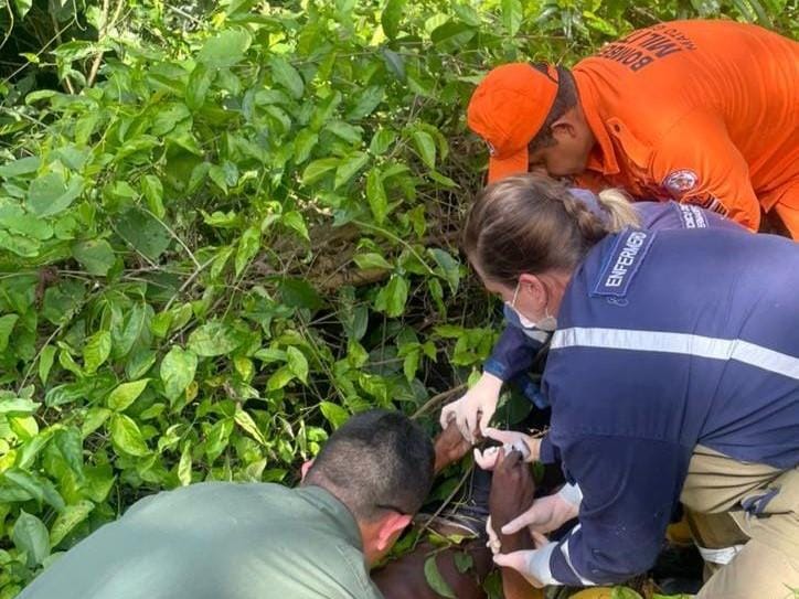 Homem de 53 anos que estava desaparecido em área de mata é resgatado por bombeiros