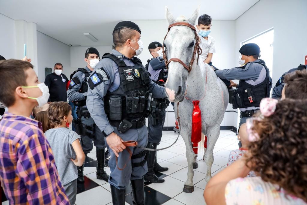 Cavalaria da PM registra mais de 3,5 mil atendimentos em projeto de equoterapia