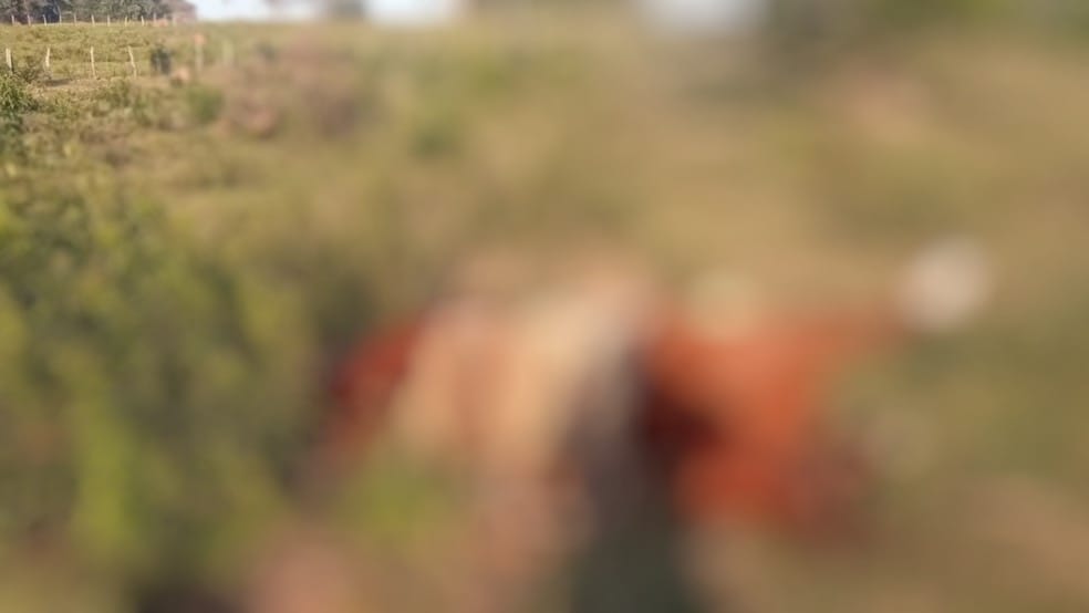 Trabalhador rural morre após ser atingido por raio durante serviço em fazenda de MT