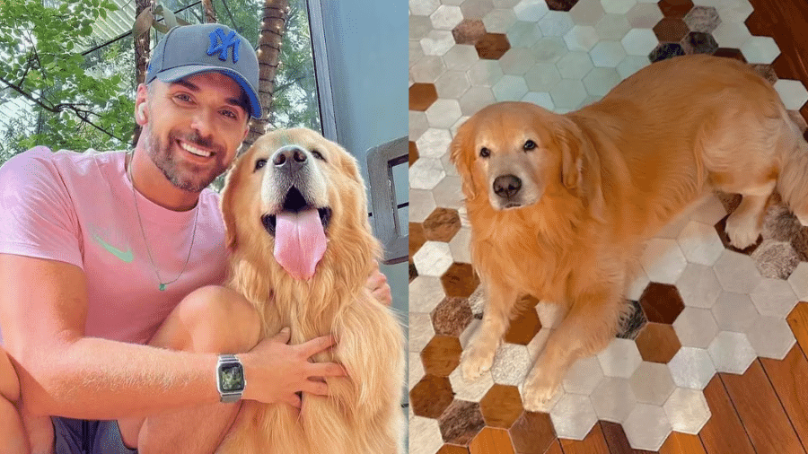 Gol relata recuperação judicial, mas juíza mantém aérea no banco dos réus por morte de cão