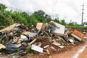 Prefeitura registra descarte irregular dez dias após retirar 340 toneladas de lixo em bolsão