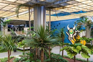 Veja como será o funcionamento dos órgãos públicos estaduais no aniversário de Cuiabá