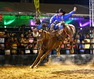 Estrutura da 12ª Semana do Cavalo será uma das melhores do Centro-Oeste