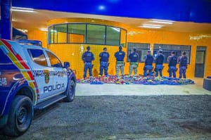 Operação apreende 244 tabletes de drogas e causa prejuízo de R$ 6 milhões às facções
