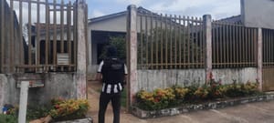 Polícia apreende grande quantidade de ecstasy e cocaína em MT