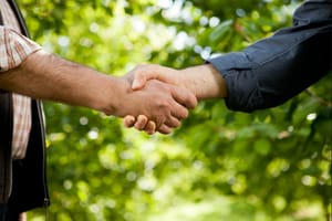 Fazendeiro faz acordo e pagará R$ 686 mil para reparar danos ambientais em Mato Grosso