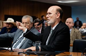 Avallone articula emendas federais para prevenção e combate a incêndios no Pantanal