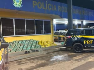 Motorista é preso com 380 kg de drogas, fuzil e munição em caminhão boiadeiro em MT