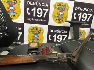 Polícia apreende armas e munições de padrasto que ameaçou matar enteada grávida
