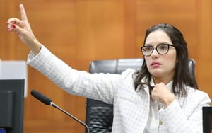 Deputada nega convite para compor com Pivetta: "gostaria de ser governadora, não vice"